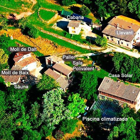 La Cabana Del Moli De La Plana Riudaura Eksteriør billede